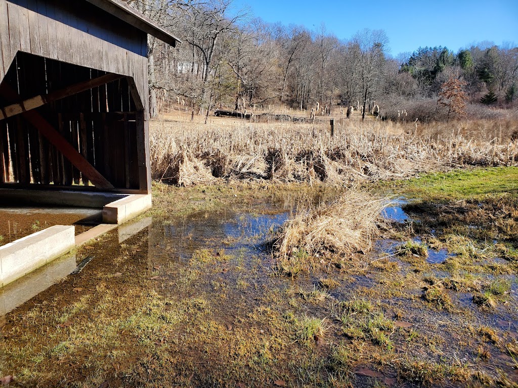 Mountain Spring Nature Trail | 16 Mountain Spring Rd, Farmington, CT 06032 | Phone: (860) 674-8545