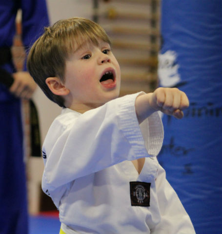 Power Training Center - Flanders Tae Kwon Do | 240 US-206, Flanders, NJ 07836 | Phone: (973) 927-9696