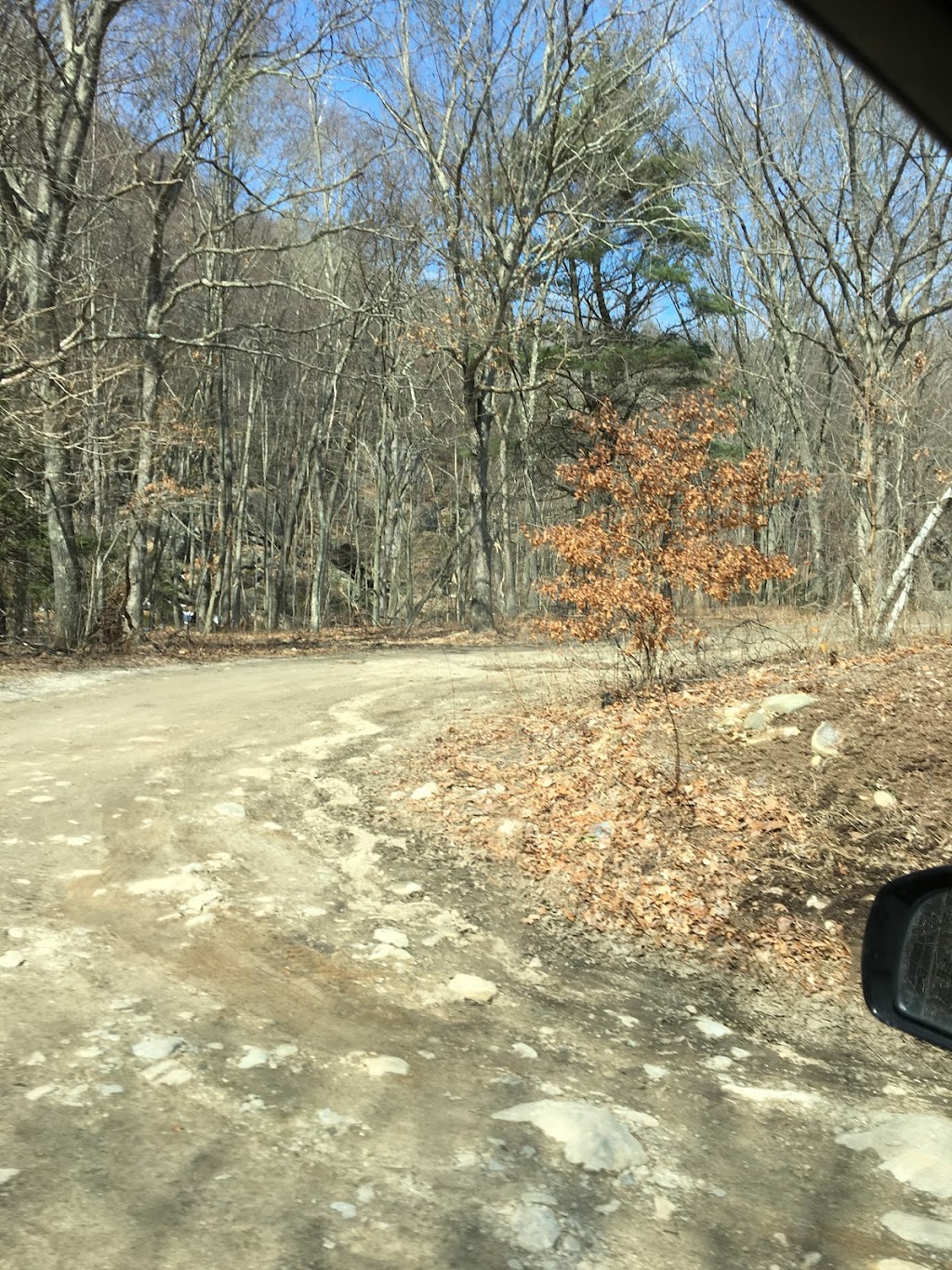 Naugatuck State Forest Parking Lot | Cold Springs Rd, Beacon Falls, CT 06403 | Phone: (860) 424-3000
