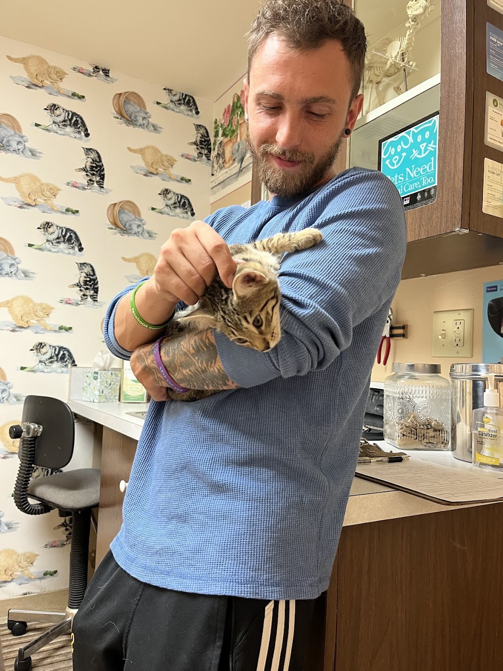 Compassion Veterinary Center - General Practice and Urgent Care | 240 S Riverside Rd, Highland, NY 12528 | Phone: (845) 255-5920