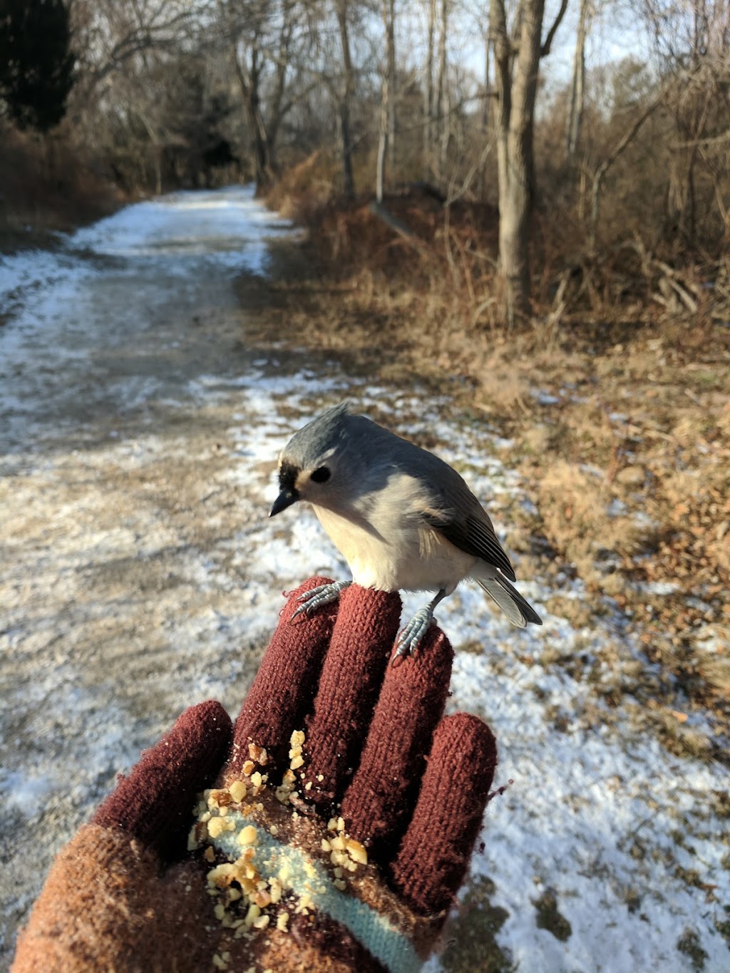 Elizabeth A. Morton National Wildife Refuge | 2595 Noyack Rd, Sag Harbor, NY 11963 | Phone: (631) 725-7598