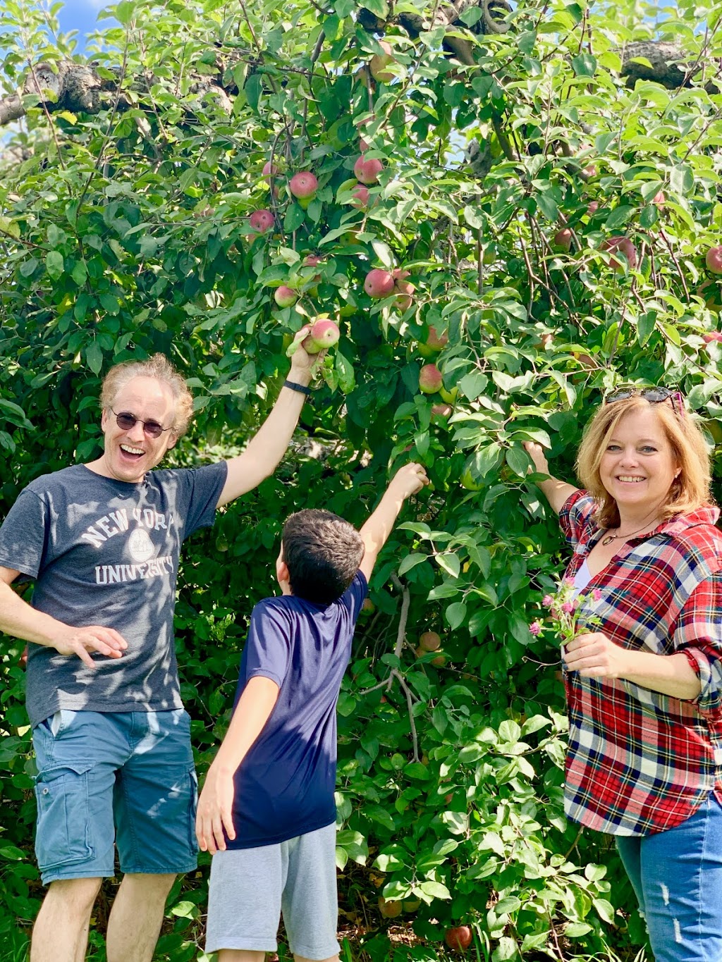 Apple Daves Orchards | 82 4 Corners Rd, Warwick, NY 10990 | Phone: (845) 986-1684