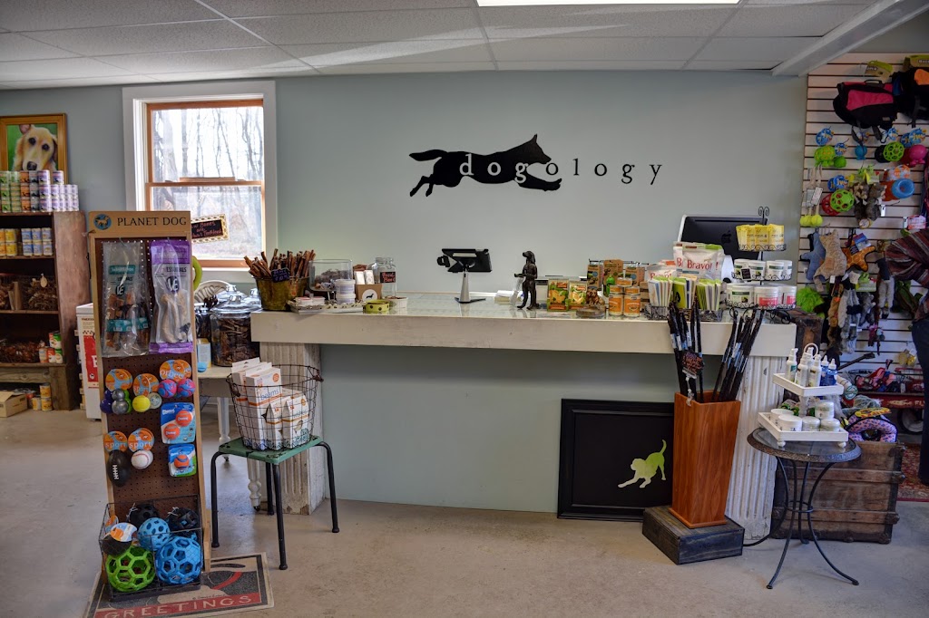 Dogology | 166 Albany Turnpike, Canton, CT 06019 | Phone: (860) 352-2352