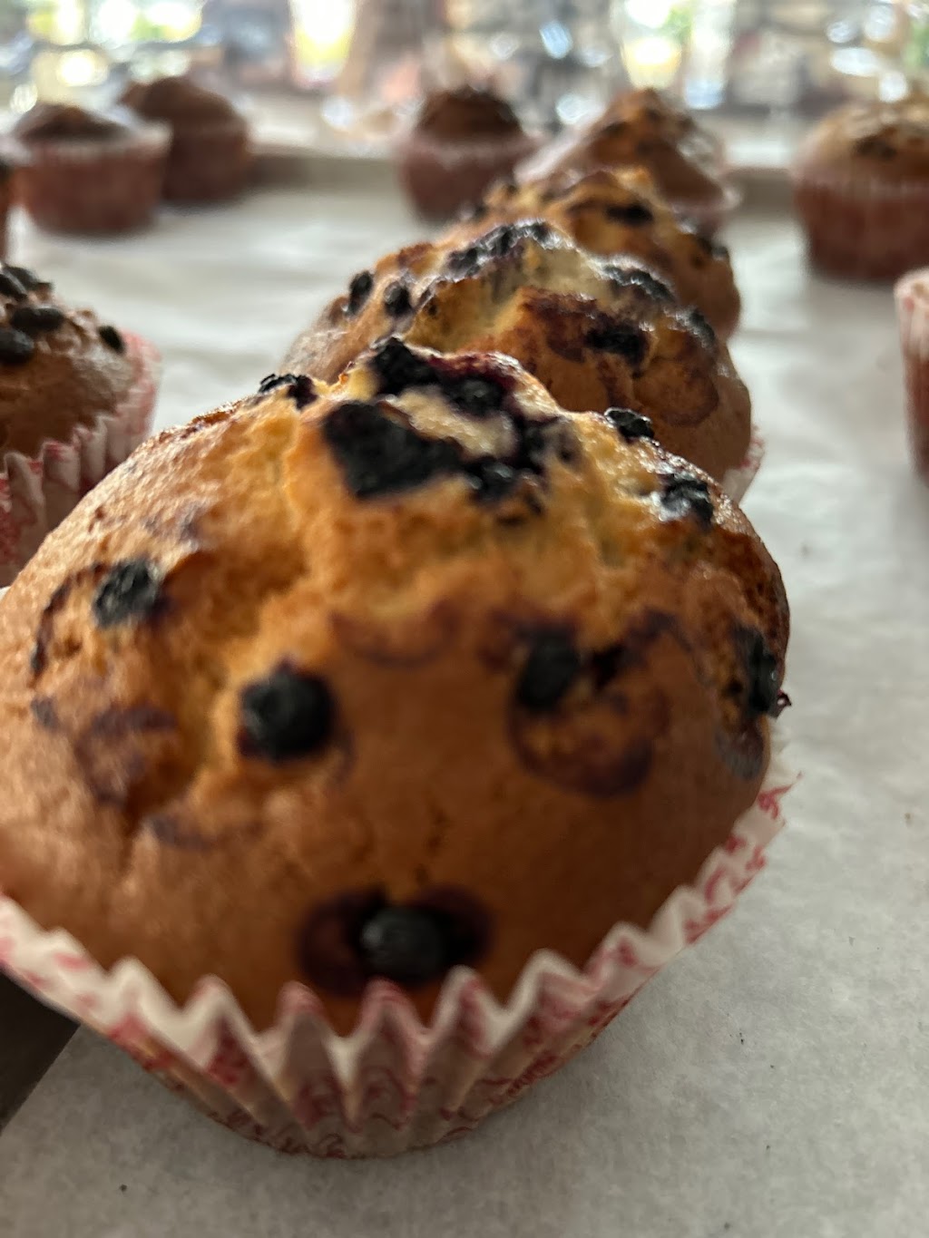 My Favorite Muffin | 1130 Valley Forge Rd STE 4, Phoenixville, PA 19460 | Phone: (610) 933-3393