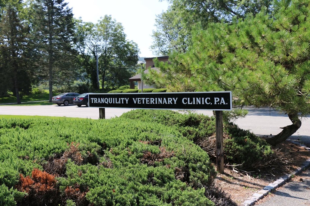 Tranquility Veterinary Clinic | 17 Kennedy Rd, Tranquility, NJ 07821 | Phone: (908) 852-7800