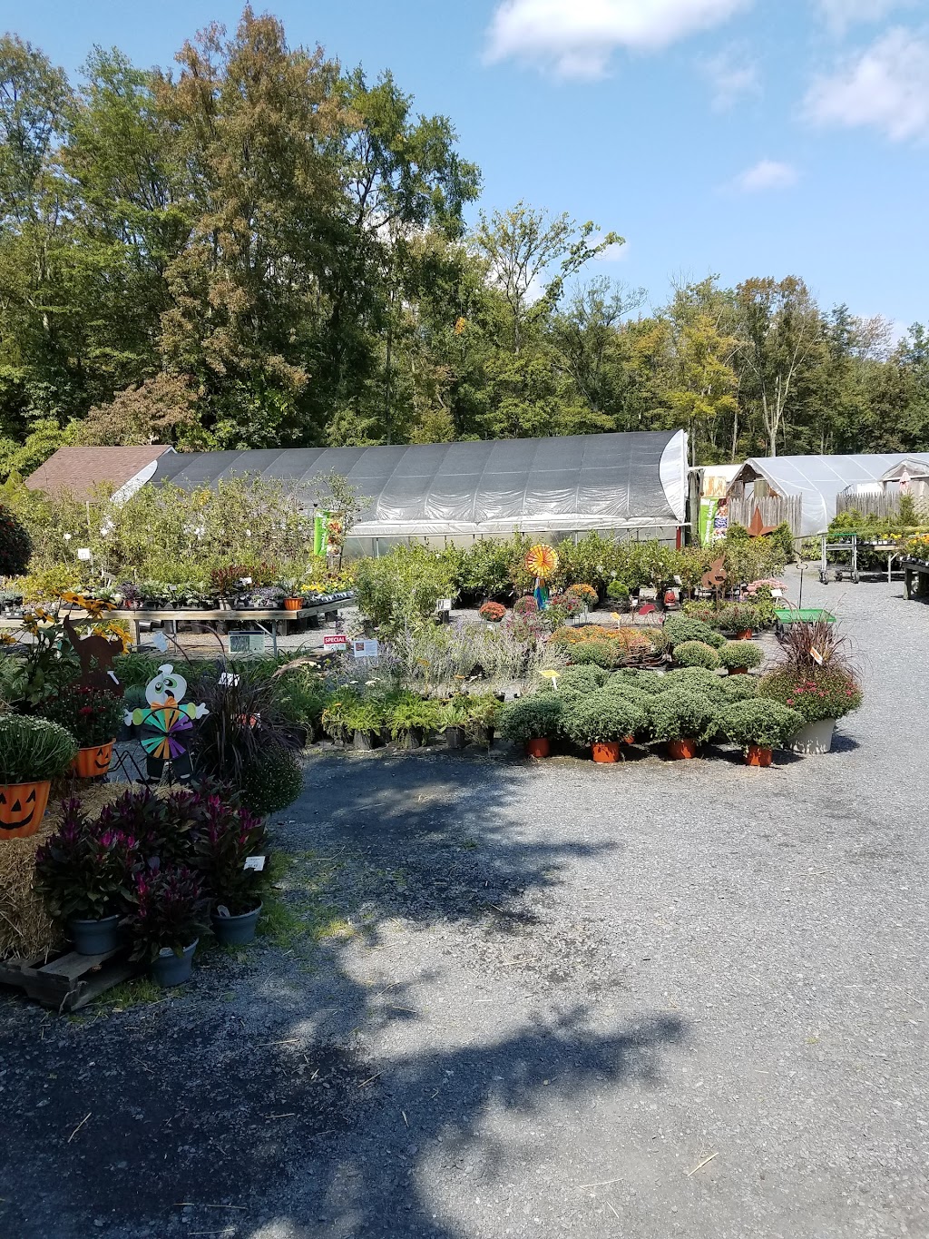 Ginder Greenhouse & Garden Center Inc. | 558 Lake Minsi Dr, Bangor, PA 18013 | Phone: (610) 588-0222