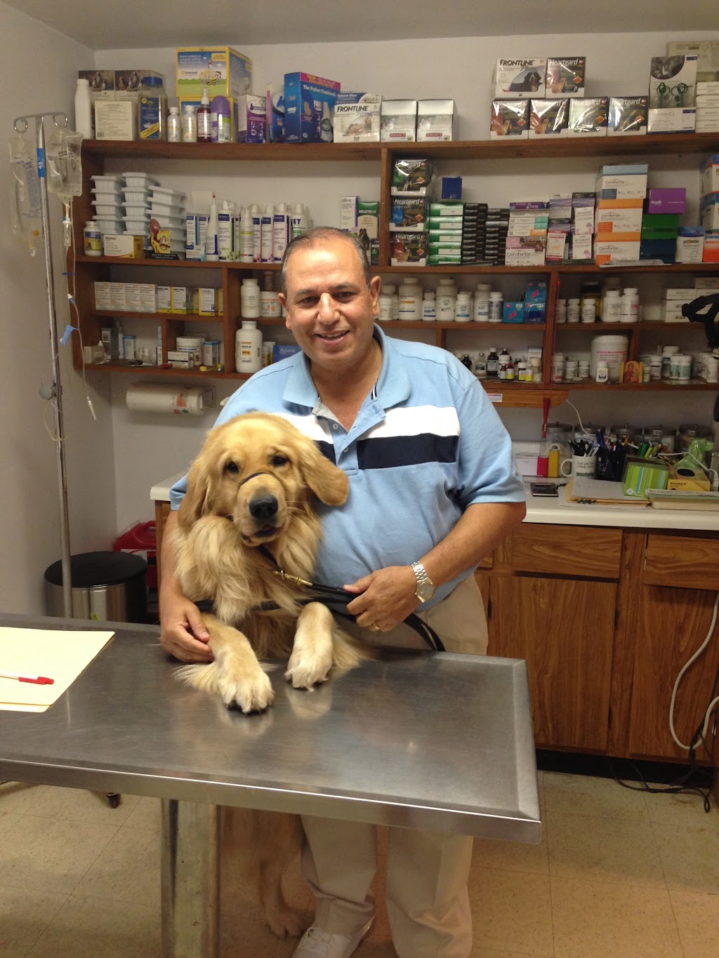 Hammonasset Animal Clinic | 117 Cottage Rd, Madison, CT 06443 | Phone: (203) 245-3434