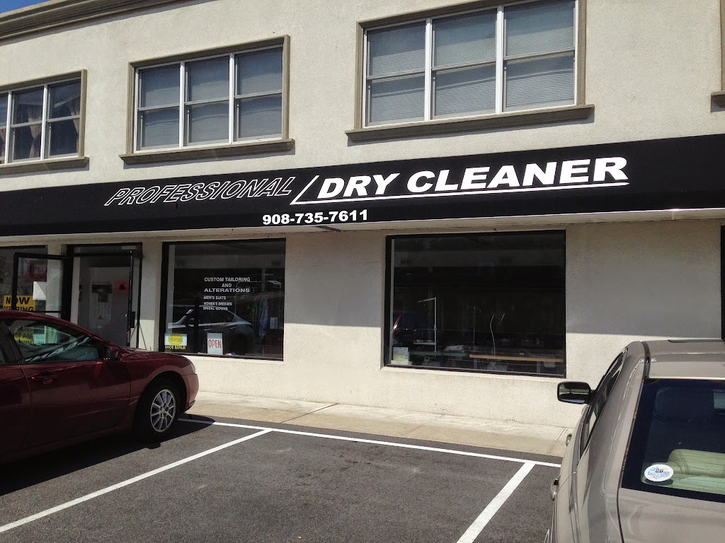 Professional Dry Cleaners | 102 W Main St #1, Clinton, NJ 08809 | Phone: (908) 735-7611