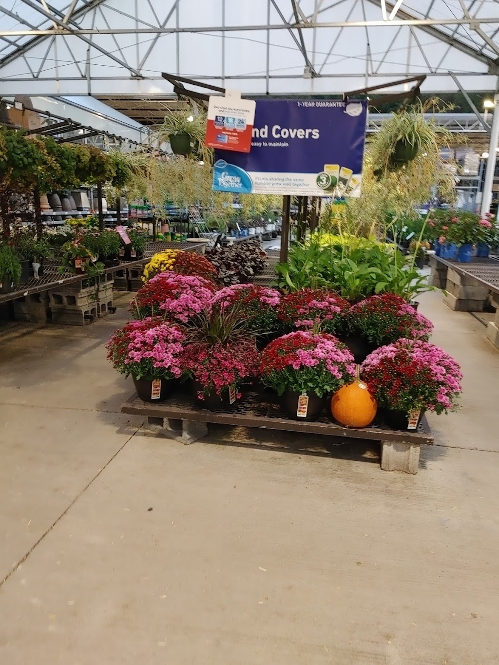 Lowes Garden Center | 1941 South Rd, Poughkeepsie, NY 12601 | Phone: (845) 298-4720