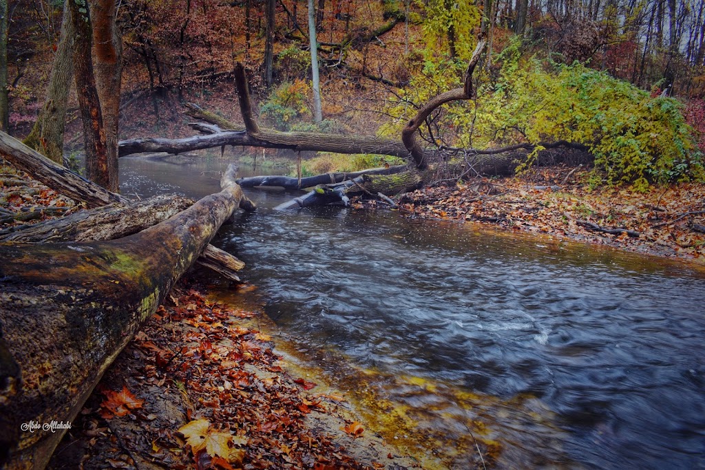 Natural Lands Hildacy Preserve | 1031 Palmers Mill Rd, Media, PA 19063 | Phone: (610) 353-5587