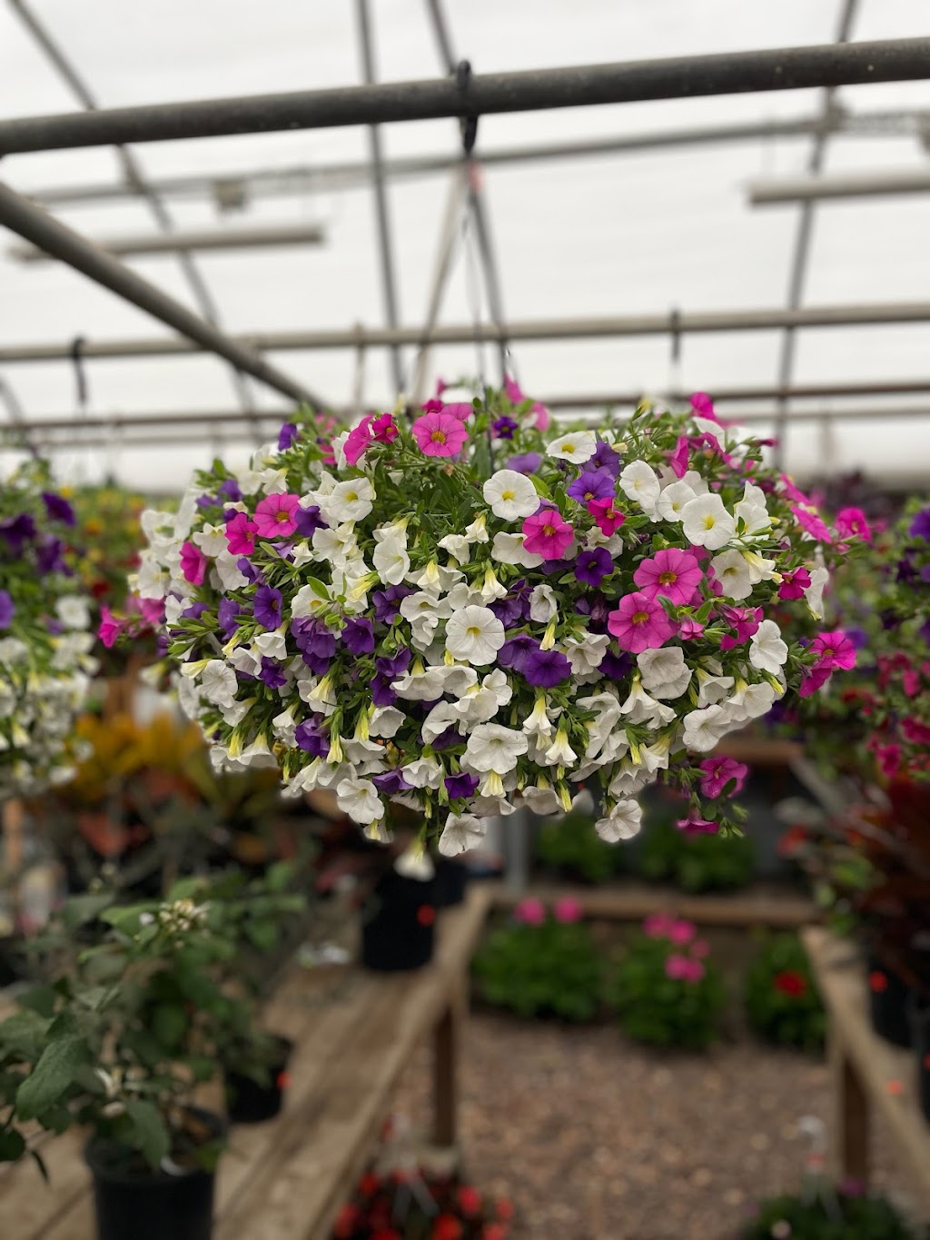 Sandys Garden Center at Forge River Nursery | 1740 Montauk Hwy, Mastic, NY 11950 | Phone: (631) 399-3777