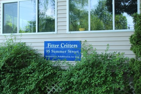 Fitter Critters | 95 Summer St, Lee, MA 01238 | Phone: (413) 243-0253