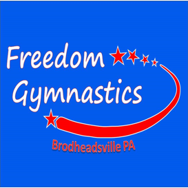 Freedom Gymnastics and Obstacle Training | 116 Pilgrim Way, Brodheadsville, PA 18322 | Phone: (570) 992-3733