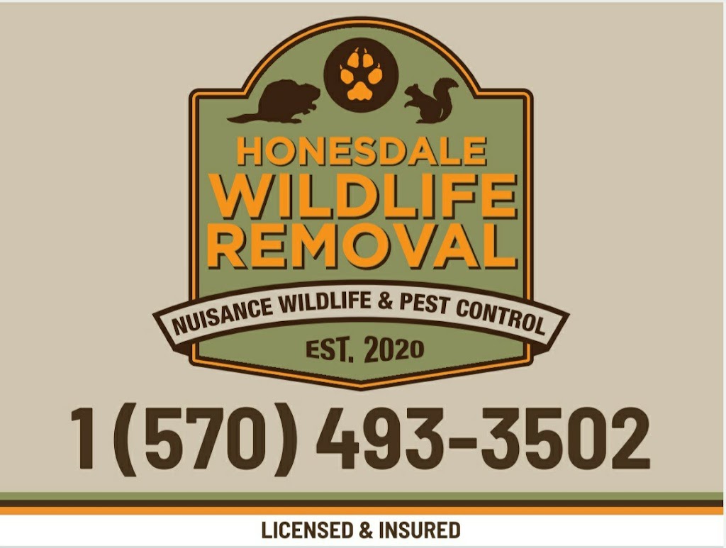 Honesdale Wildlife Removal | 33 Bates Rd, Honesdale, PA 18431 | Phone: (570) 493-3502