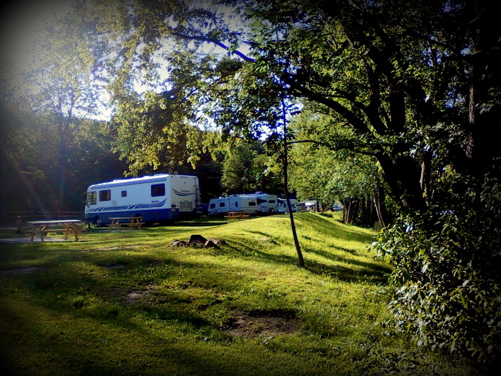 Tall Pines Campground & River Adventures | 100 Tall Pines Ln, Bainbridge, NY 13733 | Phone: (607) 563-8271