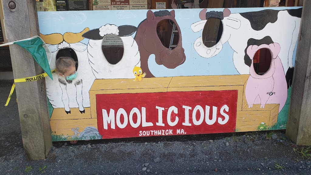 Moolicious Farm | 258 Feeding Hills Rd, Southwick, MA 01077 | Phone: (413) 569-1700