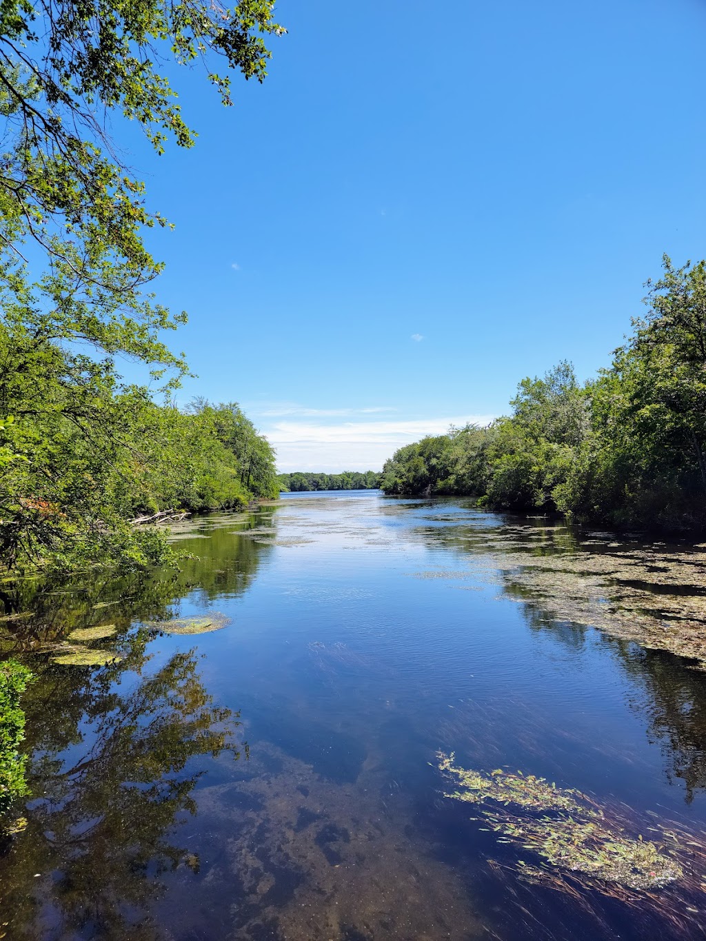 Connetquot River State Park Preserve | 4090 Sunrise Hwy, Oakdale, NY 11769 | Phone: (631) 581-1005