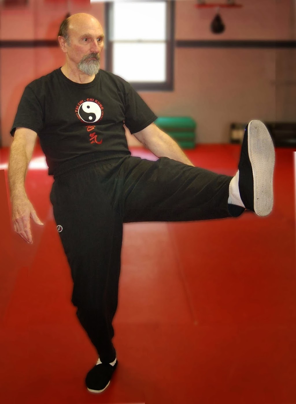 Tai Chi School of Eternal Energy | 79 Montgomery Ave, Scarsdale, NY 10583 | Phone: (914) 588-0763