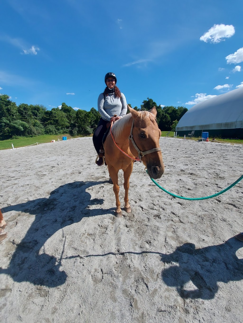 Equine Tranquility Wellness Center | 134 Airport Rd, Andover, NJ 07821 | Phone: (201) 970-3400