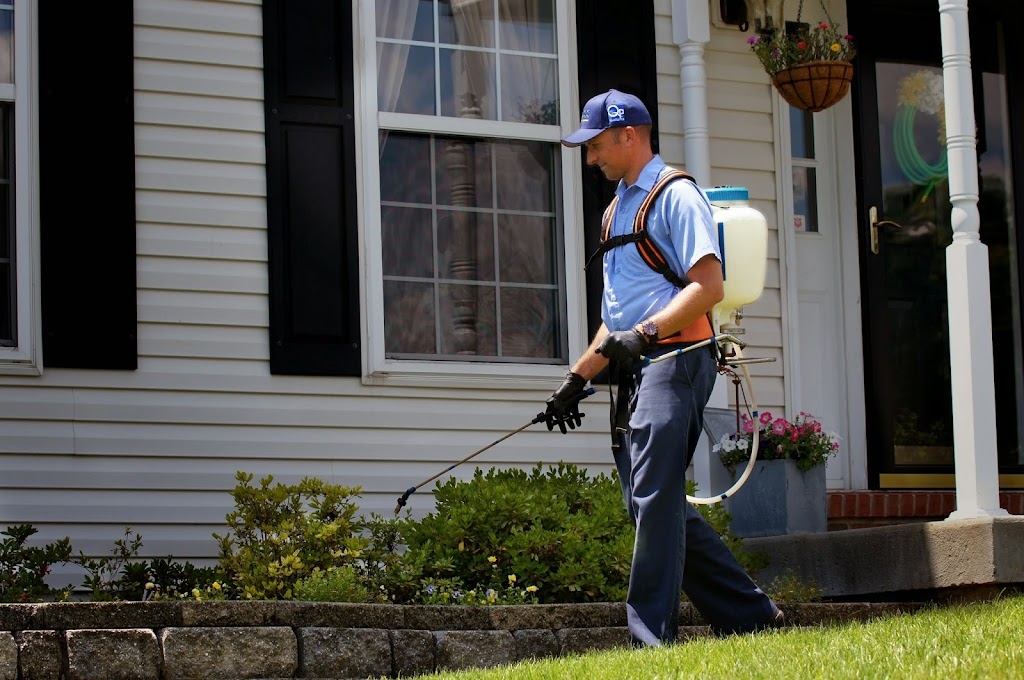 See Pest Control | 862 Gravel Pike, Collegeville, PA 19426 | Phone: (610) 287-9804
