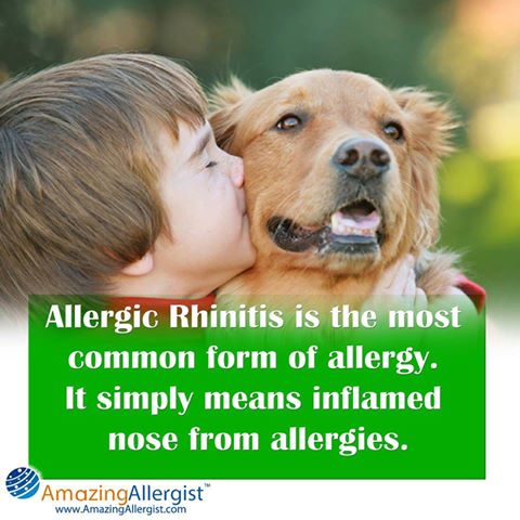 Center for Asthma & Allergy - Atul N. Shah, MD | 2 Coraci Blvd # 14, Shirley, NY 11967 | Phone: (631) 395-5464