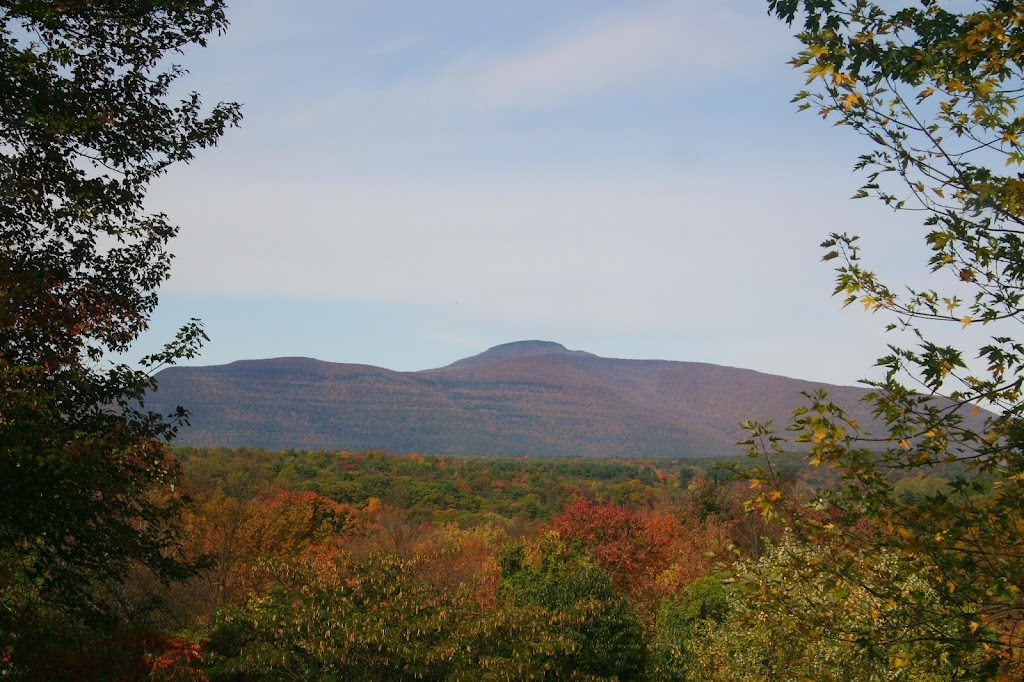 Esopus Creek Waterside Country Cottage | 210 Esopus Creek Rd, Saugerties, NY 12477 | Phone: (845) 532-5565