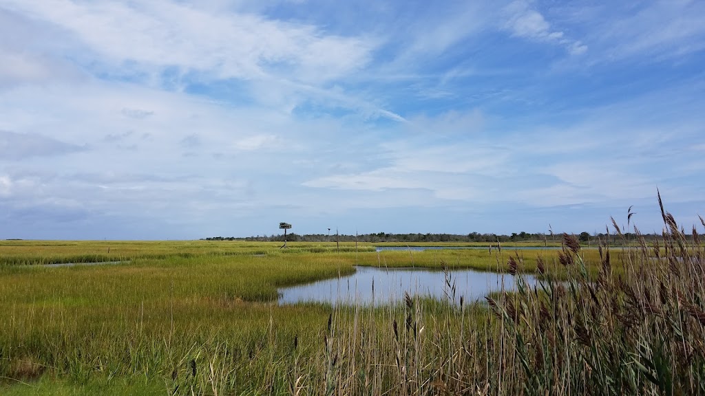 Spizzle Creek Bird Blind | Spizzle Creek Bird Blind Trail, Lanoka Harbor, NJ 08734 | Phone: (732) 830-1835