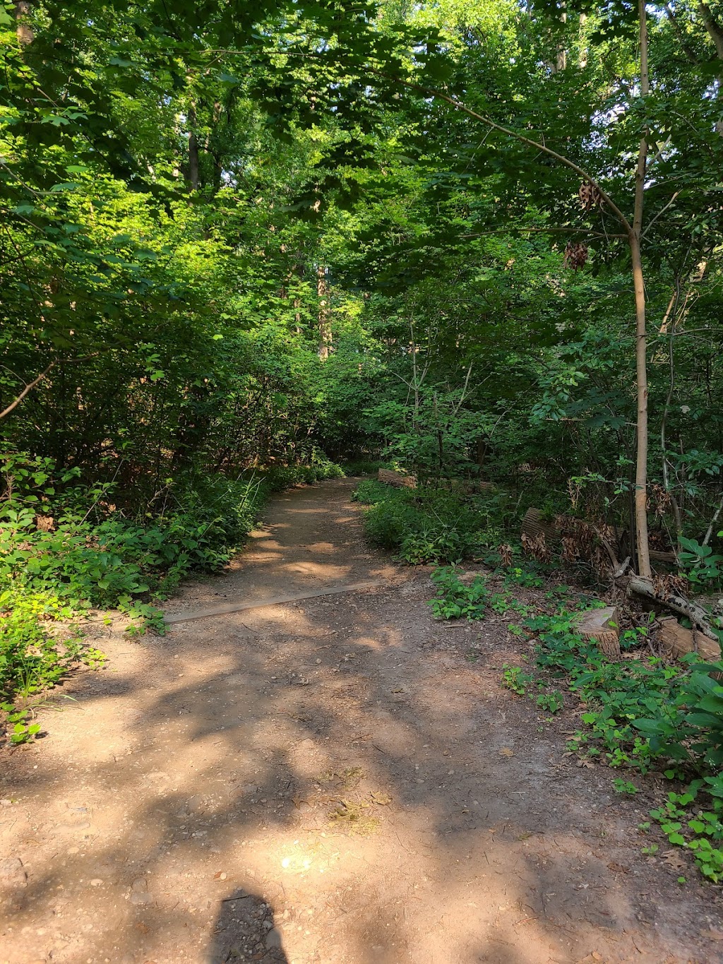 Nature Trail | 12 Sagamore Hill Rd, Oyster Bay, NY 11771 | Phone: (516) 922-4788