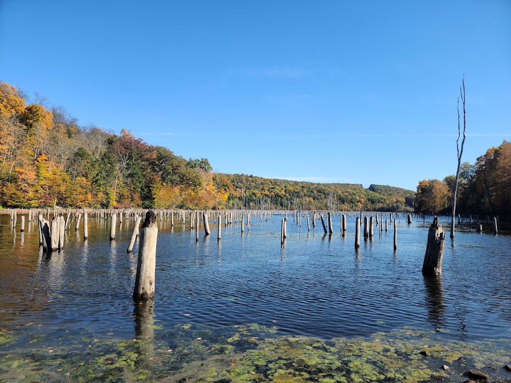 Long Pond Ironworks State Park | 1334 Greenwood Lake Turnpike, Hewitt, NJ 07421 | Phone: (973) 657-1688