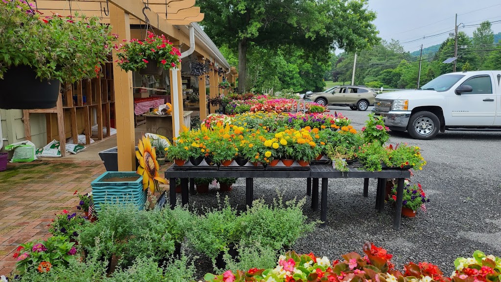 Malanga Farms | 88 Washington Valley Rd, Warren, NJ 07059 | Phone: (732) 356-0122