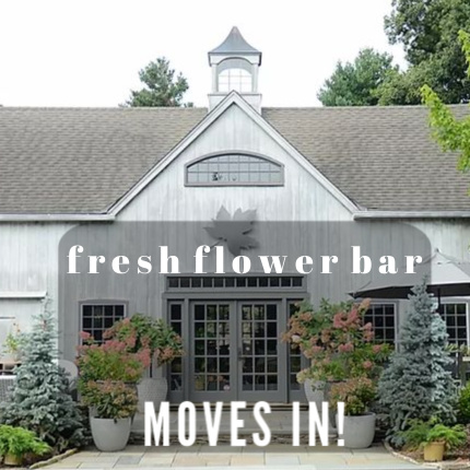 Fresh Flower Bar | 1301 Bronson Rd, Fairfield, CT 06824 | Phone: (203) 800-3830