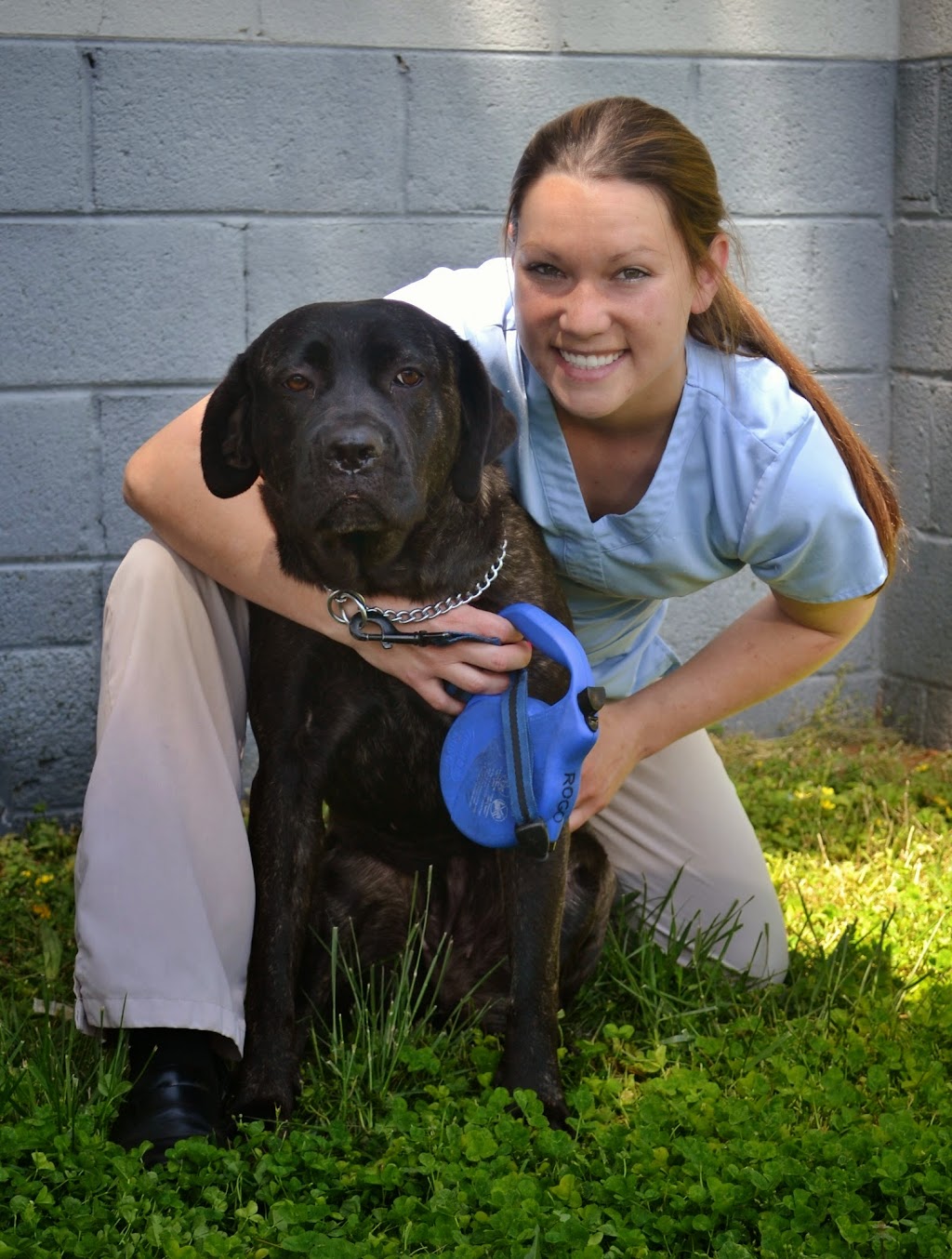 Pets Best Friend Veterinary Hospital | 7029 Bristol Pike, Levittown, PA 19057 | Phone: (215) 547-5447