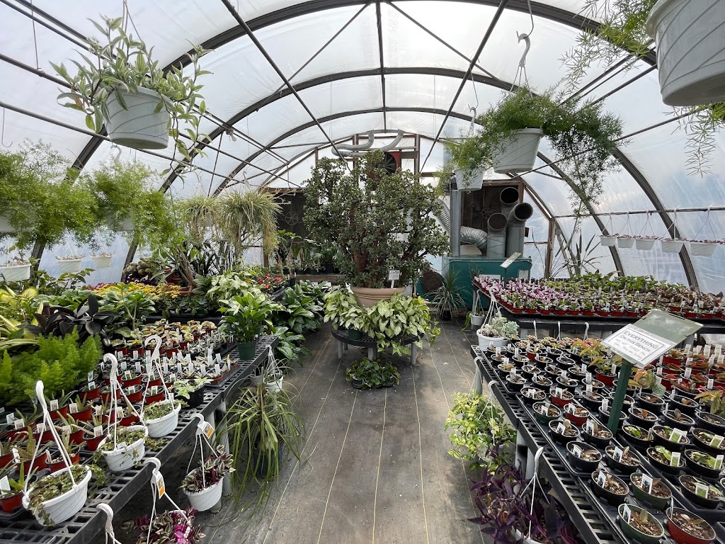 Sabellico Greenhouses & Florist | 33 Hillside Lake Rd, Hopewell Junction, NY 12533 | Phone: (845) 226-5943