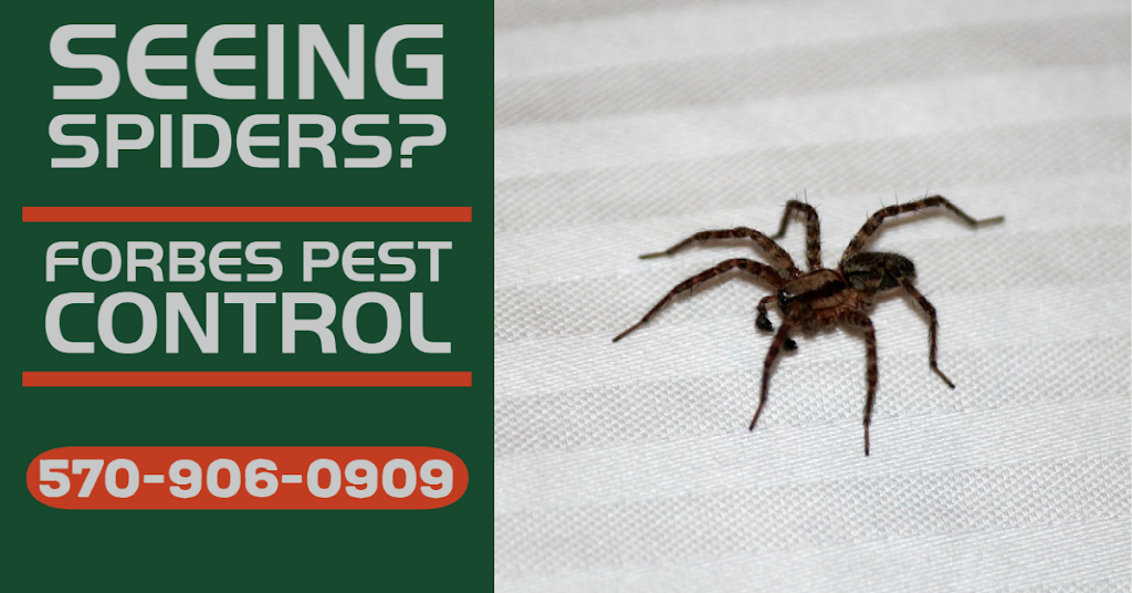 Forbes Pest Control, LLC | 433 Whitmore Ave, Mayfield, PA 18433 | Phone: (570) 906-0909