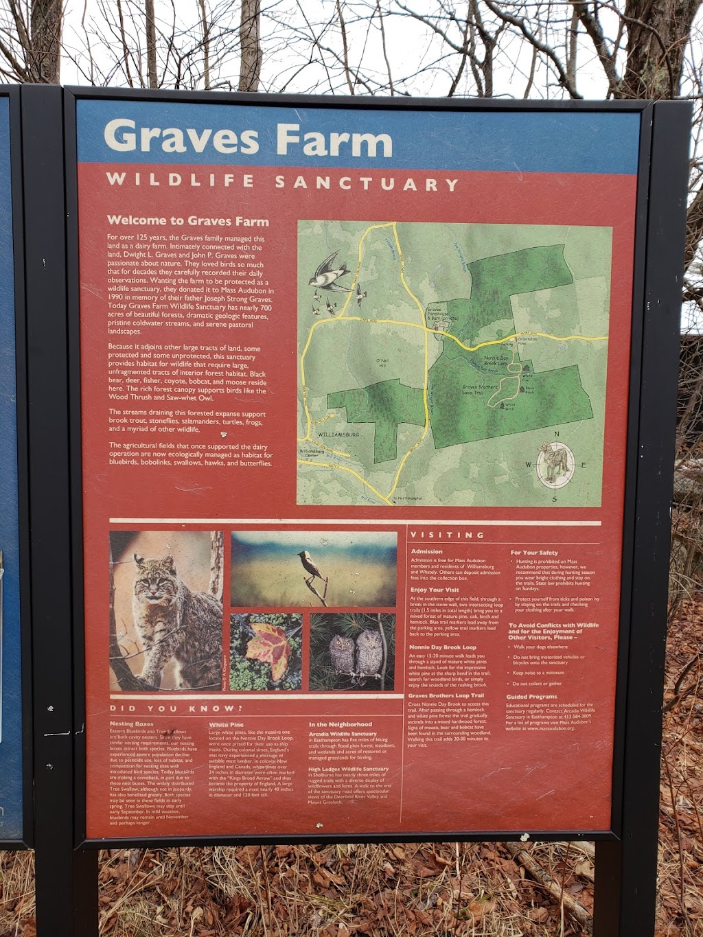 Graves Farm Wildlife Sanctuary | Adams Rd, Haydenville, MA 01039 | Phone: (413) 584-3009