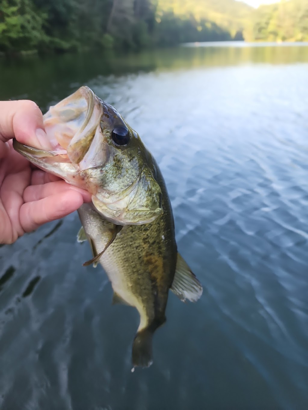 Preachers Camp Boat Launch, Beltzville State Park | 575-975 Preachers Camp Dr, Lehighton, PA 18235 | Phone: (610) 377-0045