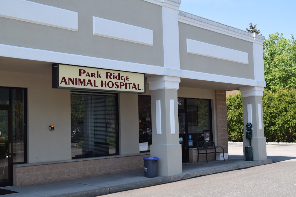 Park Ridge Animal Hospital | 40 Park Ave Unit 4, Park Ridge, NJ 07656 | Phone: (201) 391-9494