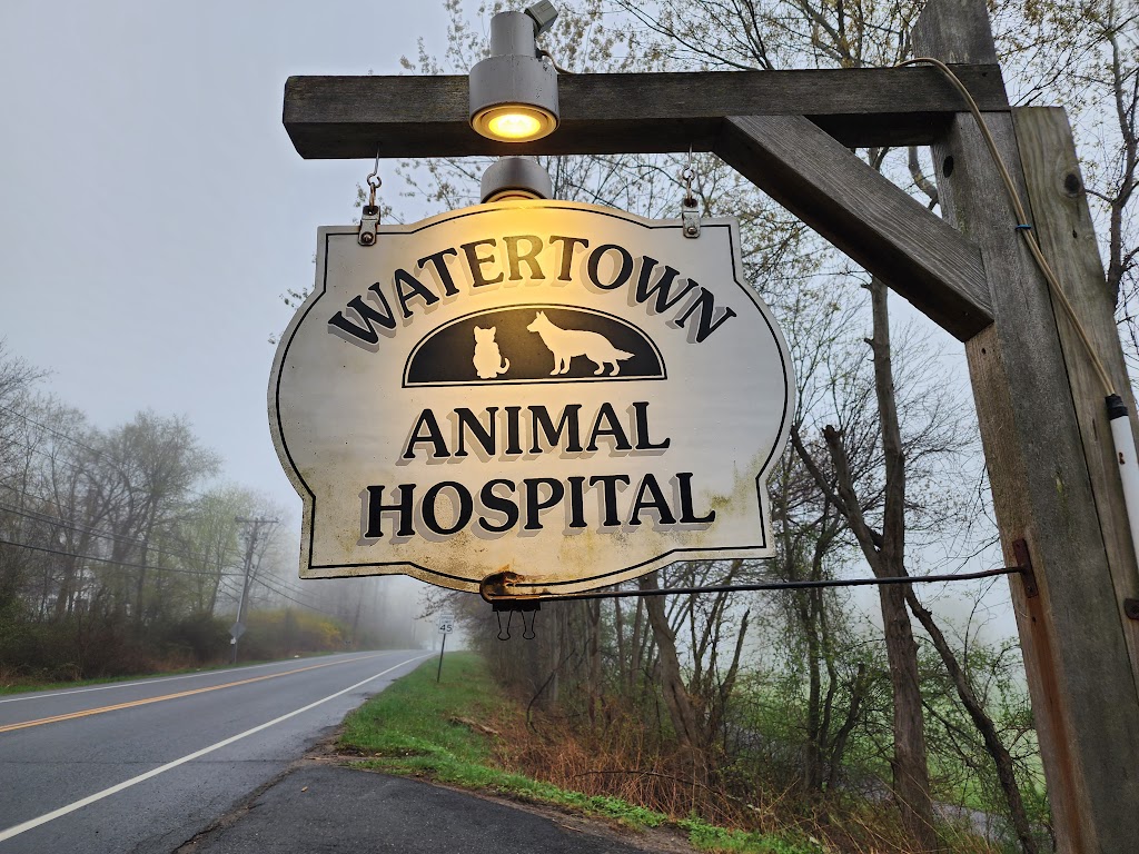 Watertown Animal Hospital | 673 Litchfield Rd, Watertown, CT 06795 | Phone: (860) 274-2212