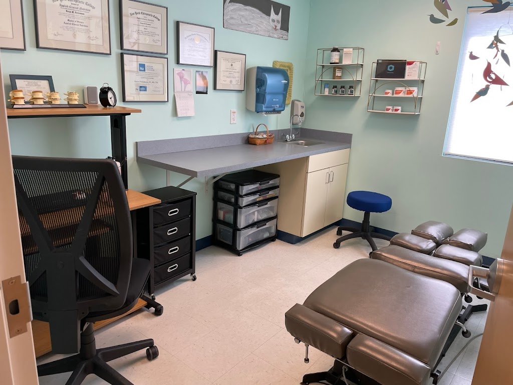 Hudson Chiropractic - Karyn Dornemann, DC | 2 Sherman Potts Dr, Ghent, NY 12075 | Phone: (518) 828-2133