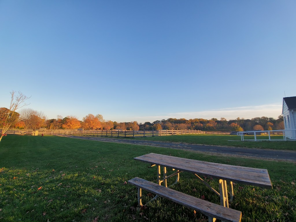 Sunnyside Equestrian Center | 628 Middletown-Lincroft Rd, Lincroft, NJ 07738 | Phone: (732) 224-1367