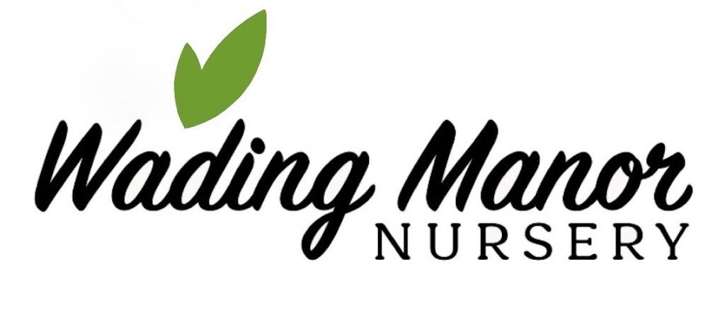 Wading Manor Nursery | 122 Montauk Hwy, Moriches, NY 11955 | Phone: (631) 300-0574