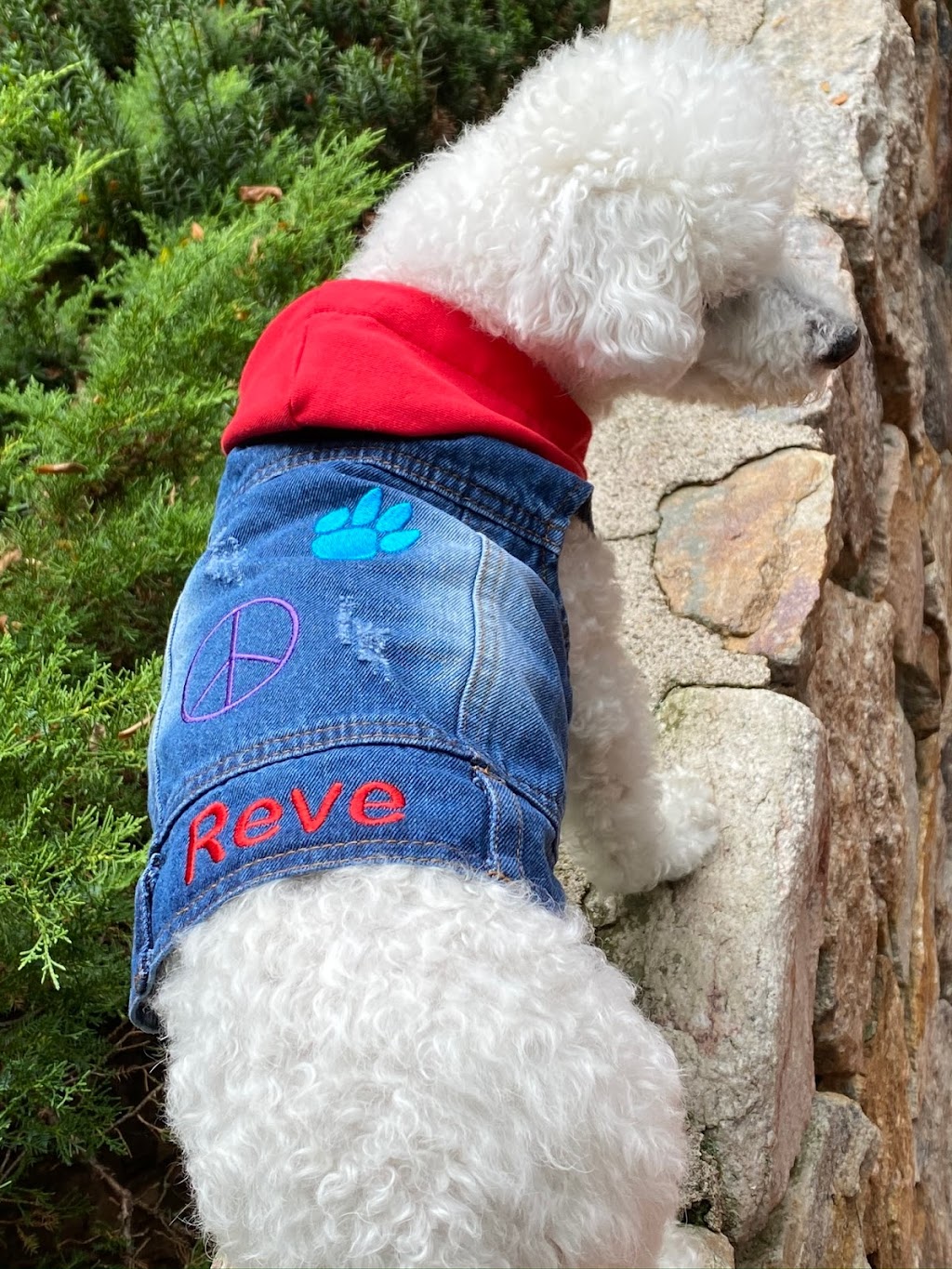 Sassy Dog Fashions | 2 Walking Purchase Circle, Northampton, PA 18067 | Phone: (610) 262-5806