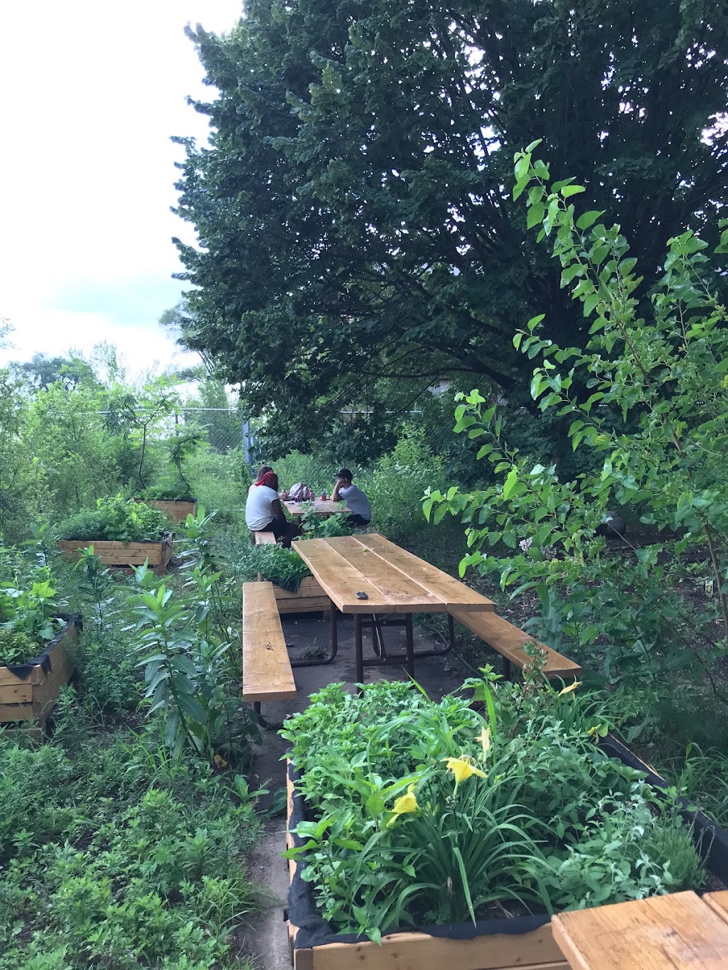 Swale Food Forest on Governors Island | 652 Craig Rd S, New York, NY 10004 | Phone: (718) 674-4872