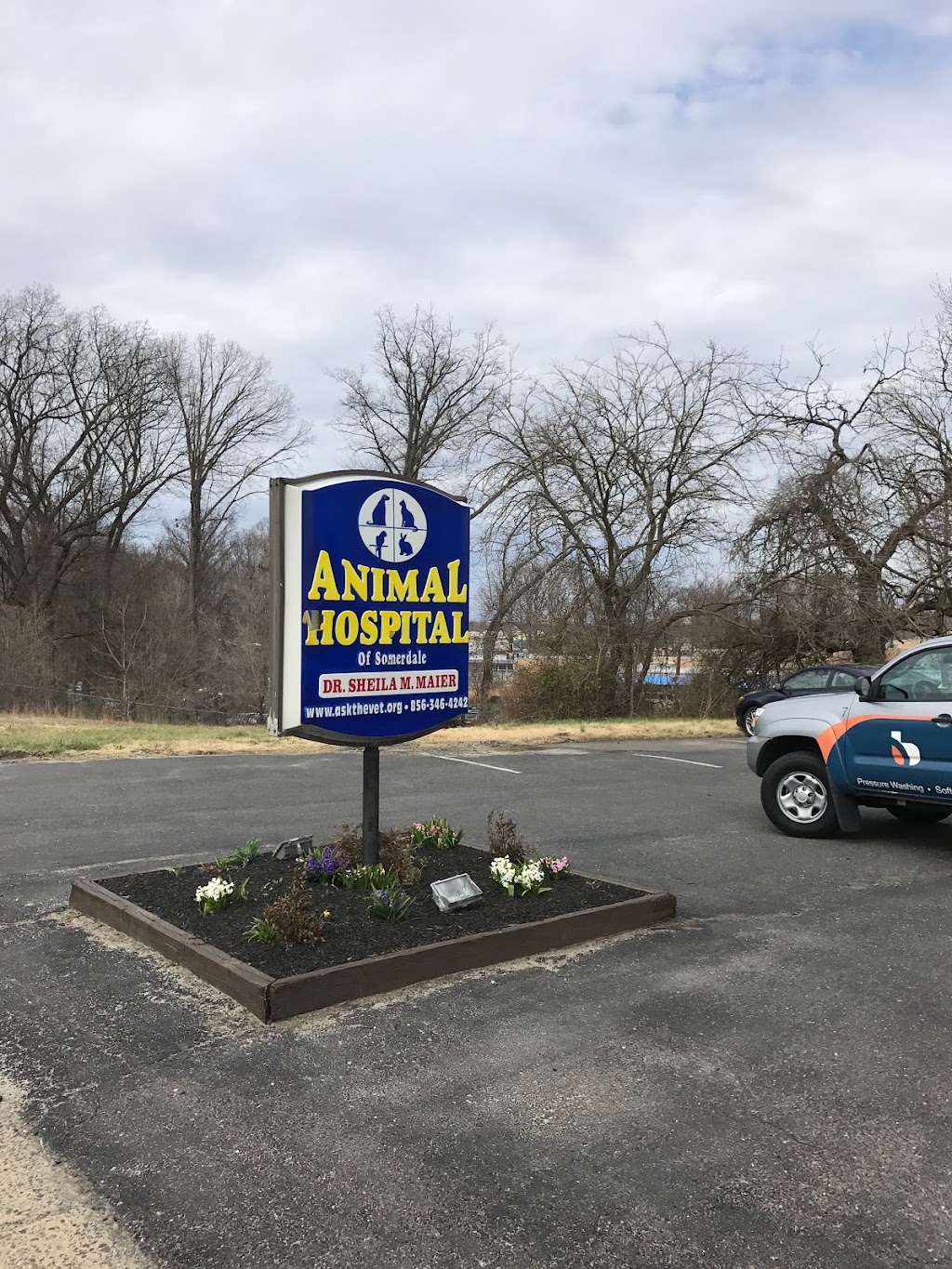 Animal Hospital of Somerdale | 408 N White Horse Pike, Somerdale, NJ 08083 | Phone: (856) 346-4242