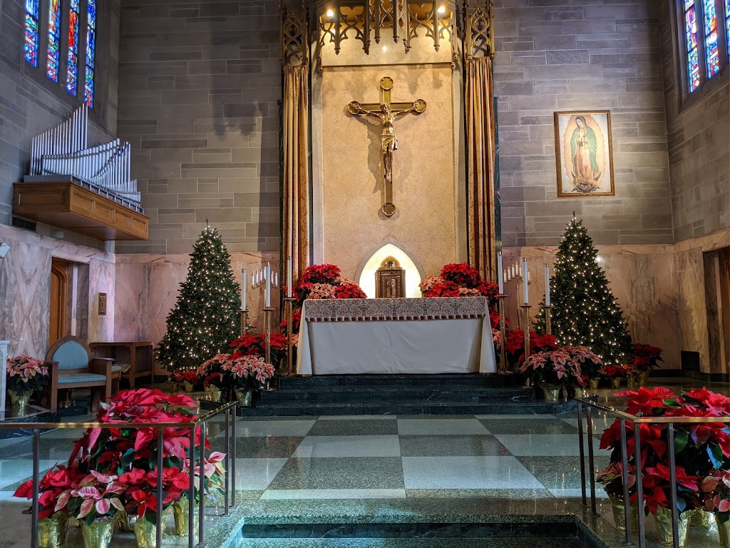 St. Francis of Assisi Roman Catholic Cathedral | 32 Elm Ave, Metuchen, NJ 08840 | Phone: (732) 548-0100