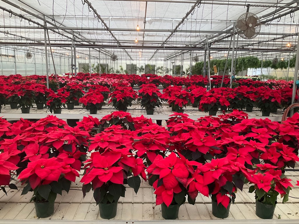 Donaldson Greenhouse & Nursery | 178 Airport Rd, Hackettstown, NJ 07840 | Phone: (908) 852-7314