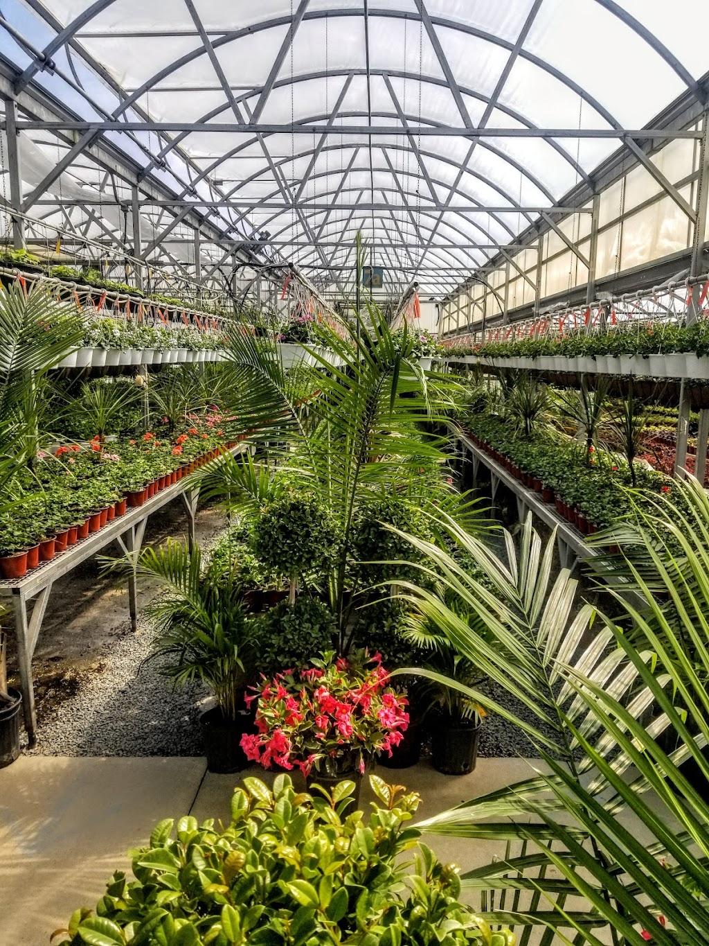 Hollandia Nurseries & Farm | 103 Old Hawleyville Rd, Bethel, CT 06801 | Phone: (203) 743-0267