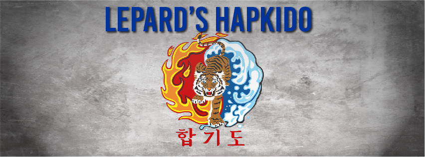 Lepards Hapkido | 870 Violet Ave, Haviland, NY 12538 | Phone: (931) 626-7058