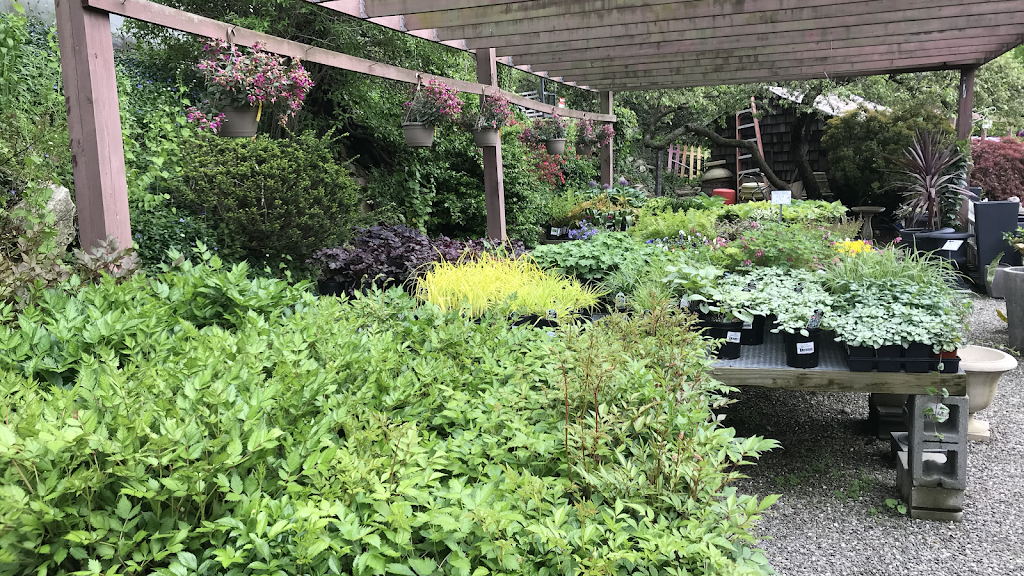 Whispering Pine Garden Center | 1 Windsor Rd, Yorktown Heights, NY 10598 | Phone: (914) 248-7444