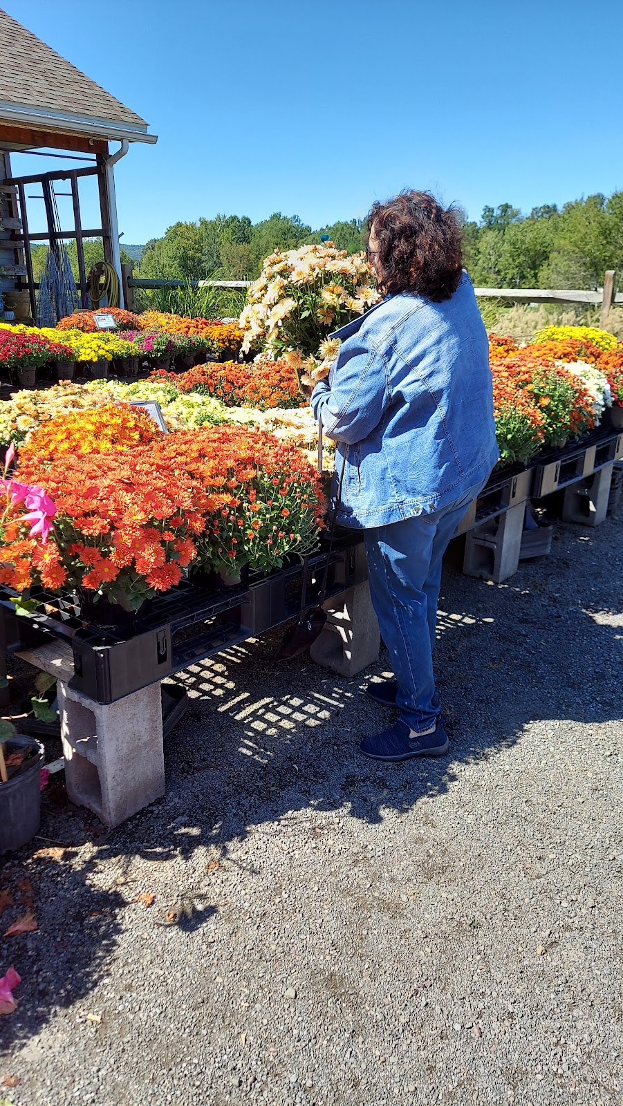 S & S Landscaping Depot LLC | 17233 County Hwy 23, Sidney, NY 13838 | Phone: (607) 563-8733